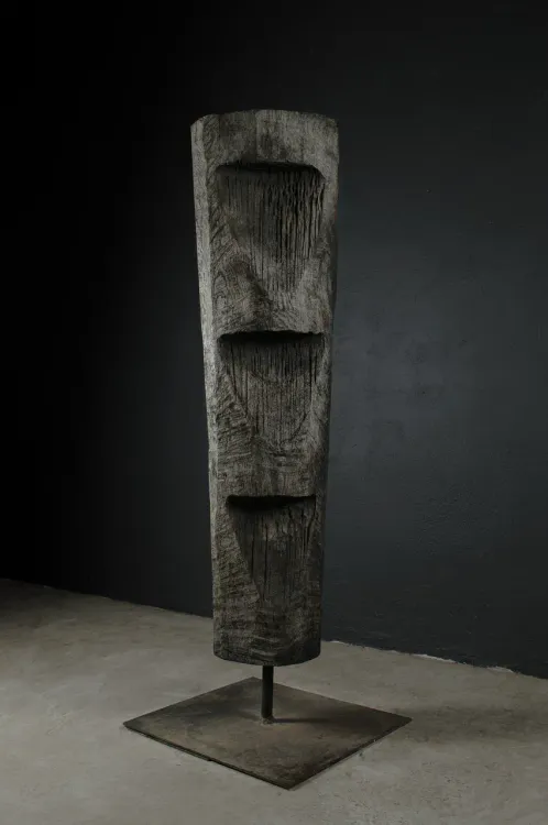TOTEM T-2